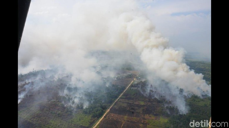 Kebakaran Ribuan Hektare Hutan di Kalbar Diduga Disengaja