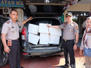 Polisi Gagalkan Penyelundupan Lobster Rp 32 M ke Singapura