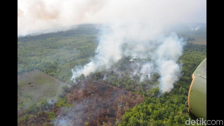 Kebakaran Hutan di Kalbar, 4 Orang Tewas