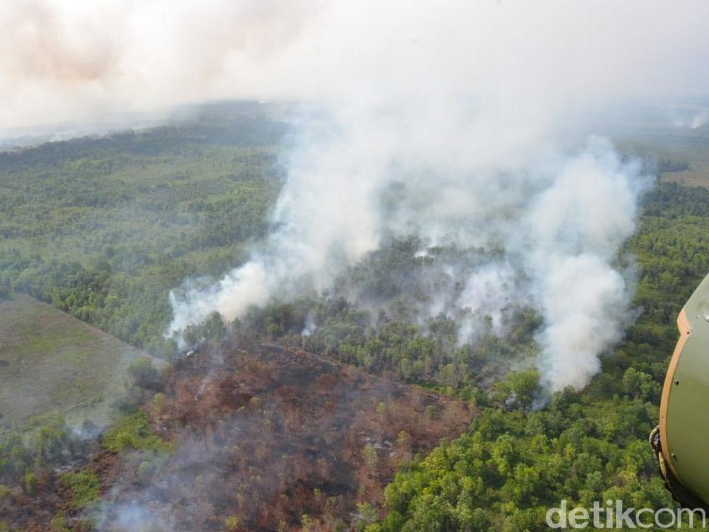 Polisi Kembali Tangkap 1 Orang Terkait Kebakaran Hutan di Kalbar Polisi Kembali Tangkap 1 Orang Terkait Kebakaran Hutan di Kalbar