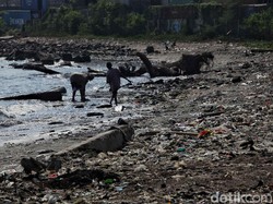 Strategi Susi Berantas Sampah Plastik di Laut