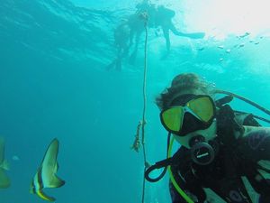 Foto: Sisi Lain Greysia Polii, Atlet Bulutangkis yang Ternyata Hobi Diving