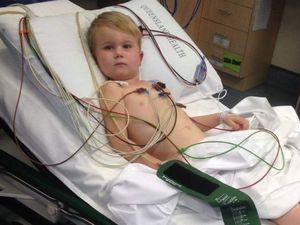 Bocah Empat Tahun Selamat Walau Digigit Ular Berbisa Mematikan