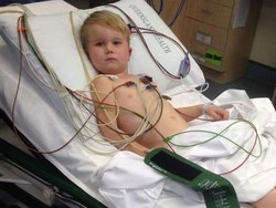 Bocah Empat Tahun Selamat Walau Digigit Ular Berbisa Mematikan