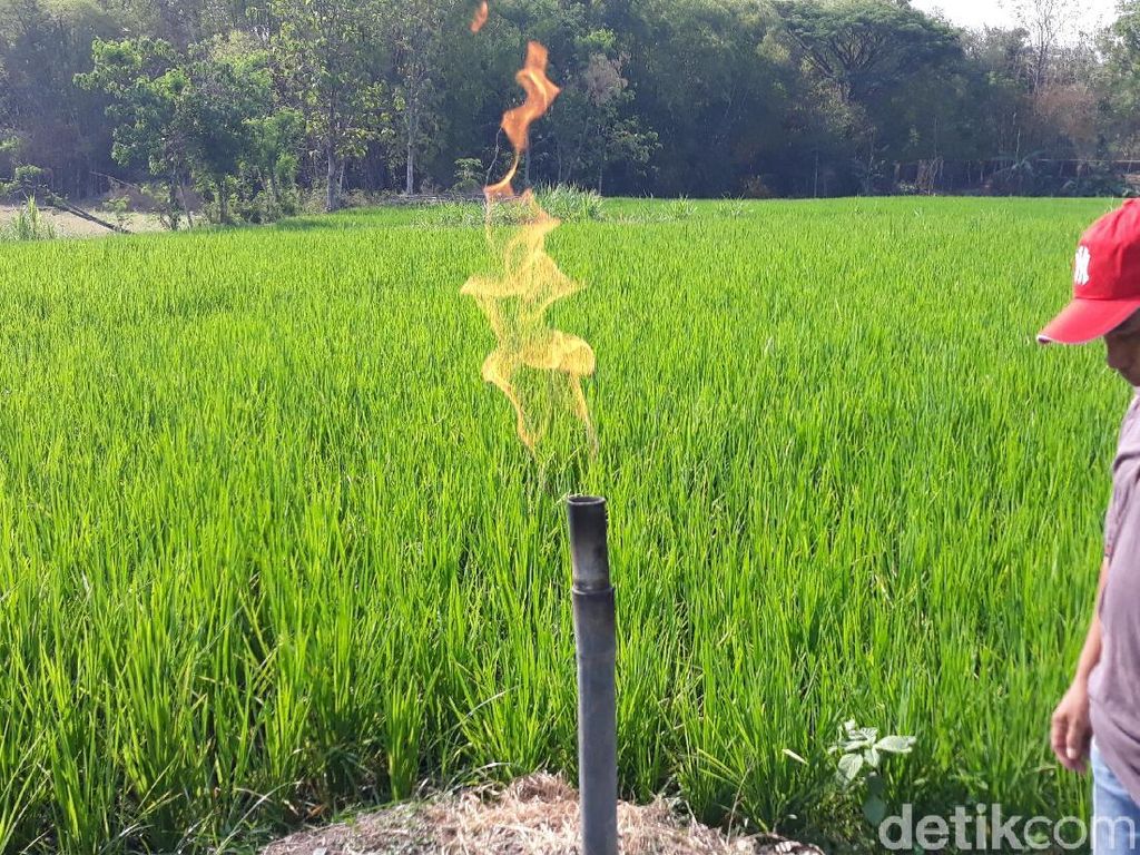 Video: Muncul Lagi Semburan Gas Baru di Ngawi Video: Muncul Lagi Semburan Gas Baru di Ngawi
