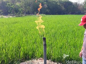 Video: Muncul Lagi Semburan Gas Baru di Ngawi Video: Muncul Lagi Semburan Gas Baru di Ngawi