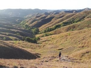 Sumba, Surganya Pecinta Alam dan Petualangan