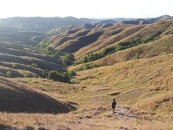 Sumba, Surganya Pecinta Alam dan Petualangan