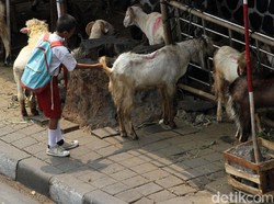 Ada Trotoar di DKI yang Diperbolehkan untuk Jualan Hewan Kurban