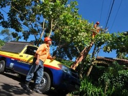 Bahaya! Jangan Sepelekan 7 Hal yang Menggangu Jaringan Listrik