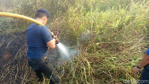 Aksi Pemadaman Kebakaran Lahan di Dekat Wisma Atlet Jakabaring