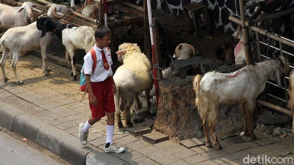 Berbagi Jalan dengan Si Embe