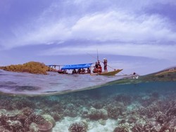 Gili Noko, Si Cantik dari Jawa Timur