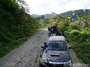 Bertualang ke Pegunungan Arfak di Papua Barat, Amankah?