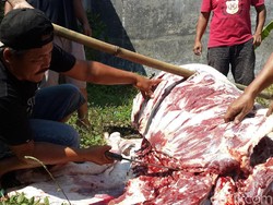 Ini Wahyudi, Jagal yang Tabu Pasang Tarif Saat Sembelih Kurban