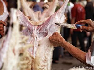MUI Kuningan Imbau Panitia Antar Daging Kurban ke Rumah Warga