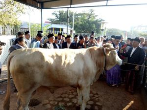 Idul Kurban, Momen Awal Perbaikan Gizi