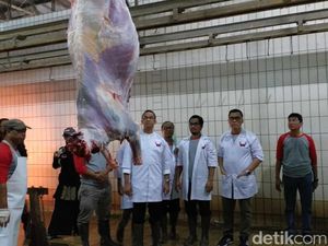 Melihat Proses Pemotongan Hewan Kurban di RPH PD Dharma Jaya Melihat Proses Pemotongan Hewan Kurban di RPH PD Dharma Jaya