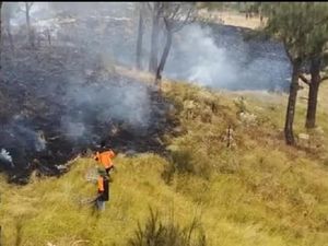 Sempat Padam, Gunung Lawu Kembali Terbakar