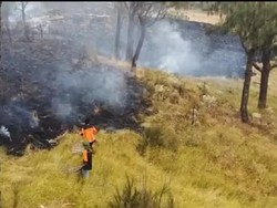 Sempat Padam, Gunung Lawu Kembali Terbakar