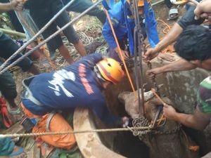 Sapi Kurban 4 Kuintal Terjatuh ke Sumur di Bandung Barat