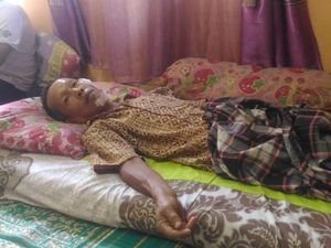 Waduh! Pak RT Babak Belur Gara-gara Sapi Ngamuk