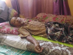 Sapi Kurban Mengamuk Seret Pak RT hingga Babak Belur