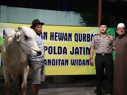Saat Kiai Ponpes Langitan Kaget Dapat Sapi Kurban dari Kapolda Jatim