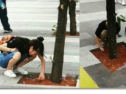 Pelajaran dari Viral Suporter Jepang Punguti Puntung Rokok di Asian Games