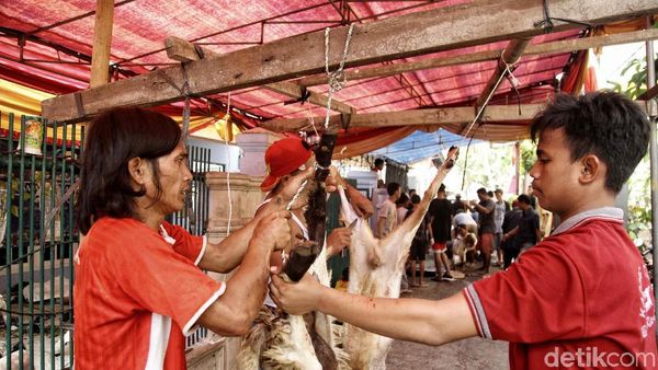 Begini Suasana Pemotongan Hewan Kurban di Warakas