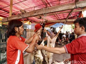 Begini Suasana Pemotongan Hewan Kurban di Warakas
