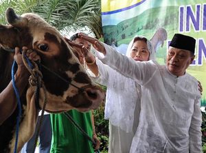 BTN Gelar Pemotongan Kurban