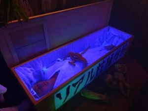 Jangan Datang Sendirian! Di 5 Restoran Ini Bisa Makan Bareng Hantu