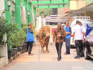 Jokowi Serahkan 2 Ekor Sapi ke PP Muhammadiyah, 1 Jenis Limosin Jokowi Serahkan 2 Ekor Sapi ke PP Muhammadiyah, 1 Jenis Limosin