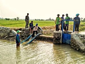 Kemarau Agustus dan September, Mentan Kirim Tim Cek Sawah