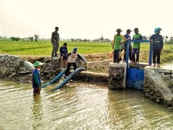 Kemarau Agustus dan September, Mentan Kirim Tim Cek Sawah