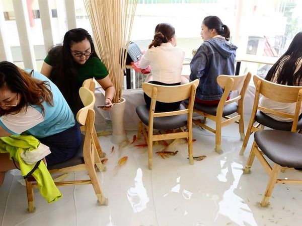 Asyik! Di Kafe Ini Bisa Santai Sambil Merendam Kaki di Kolam Ikan Koi