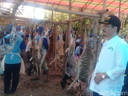 Muslim dari Singapura dan Australia Ikut Berkurban di Grobogan