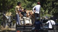 Bantuan untuk Korban Gempa Lombok Terus mengalir