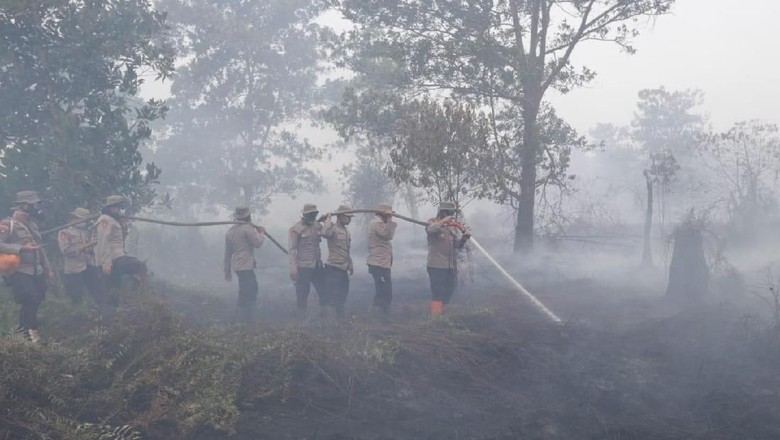 Tanggapan 3 Perusahaan yang Disegel KLHK di Kalbar Terkait Karhutla