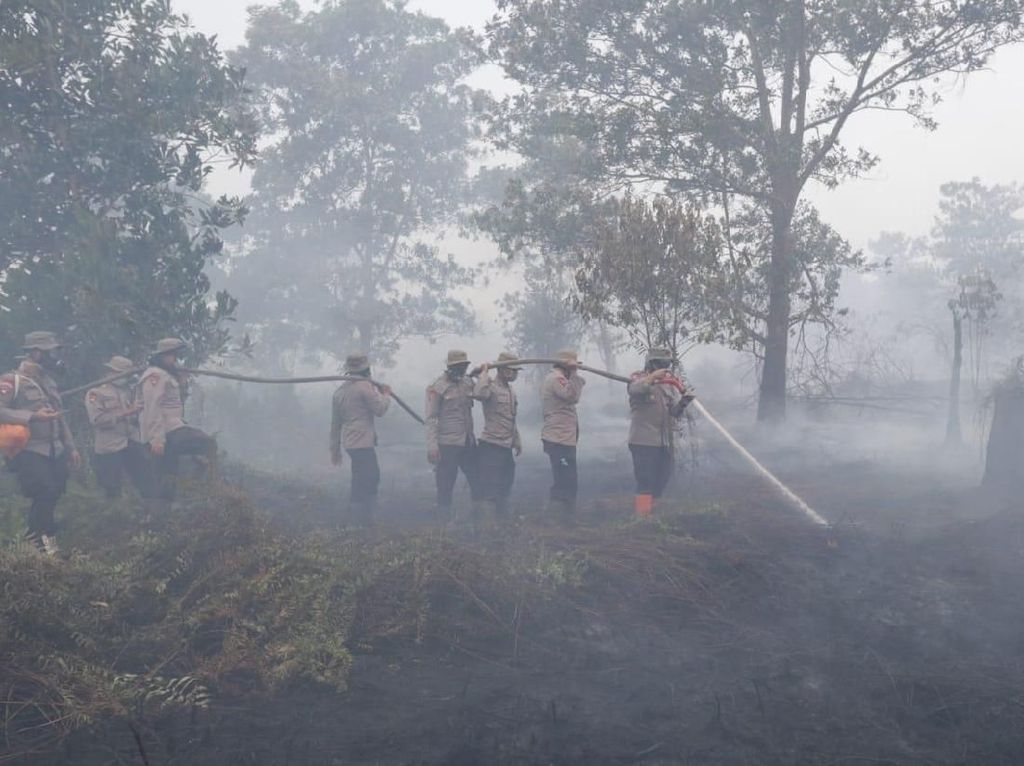 Antisipasi Karhutla, 7.560 Personel Gabungan Siaga di 5 Provinsi Antisipasi Karhutla, 7.560 Personel Gabungan Siaga di 5 Provinsi