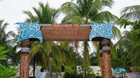 Potret Kampung Arborek yang Jadi Surga Penyelam Dunia