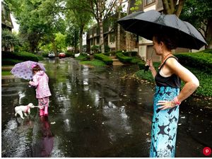 Pelajaran dari Cerita Anak yang Ajak Anjingnya Jalan-jalan Pelajaran dari Cerita Anak yang Ajak Anjingnya Jalan-jalan