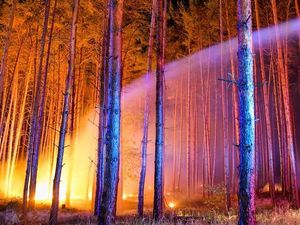 Kebakaran Hutan Terjadi di Dekat Berlin, Ratusan Orang Dievakuasi