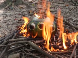 Cara Unik Masak Telur di Hutan, Pakai Semangka!