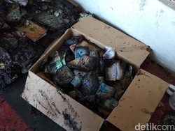 Uang Tunai Puluhan Juta di Ambarawa Ludes Terbakar