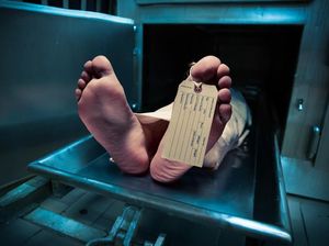 Geger Temuan Mayat Pria Membusuk Posisi Duduk dalam Gubuk di Jakbar Geger Temuan Mayat Pria Membusuk Posisi Duduk dalam Gubuk di Jakbar