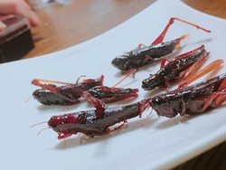 Siapa Mau Coba 5 Makanan Unik dari Jepang Ini?