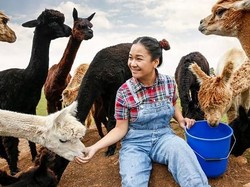 Pulang Kampung untuk Beternak, Millennial Ini Hasilkan Rp 2 Miliar Per Tahun