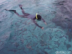 Ini Dia Kampung Terpencil Favorit Penyelam di Raja Ampat